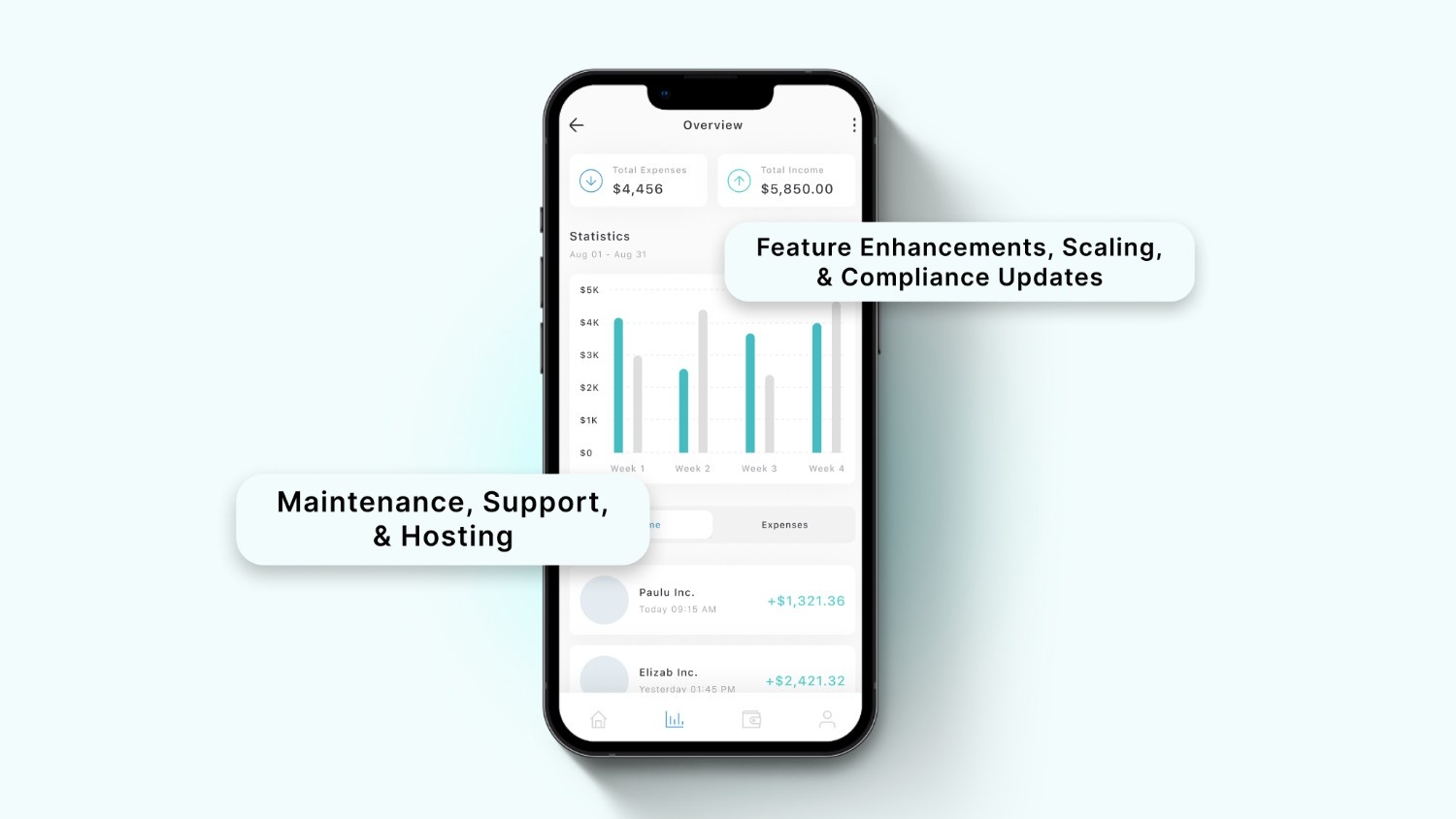 Ongoing Software Development Costs After Launch
