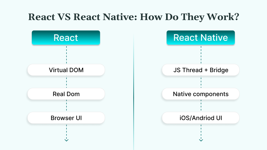 React VS React Native How Do They Work