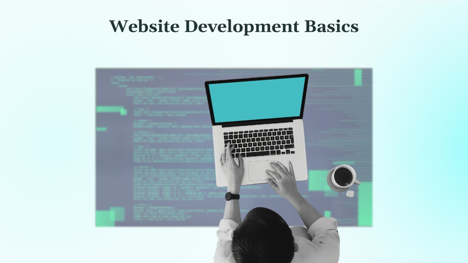 Website Development Basics A Beginner's Guide